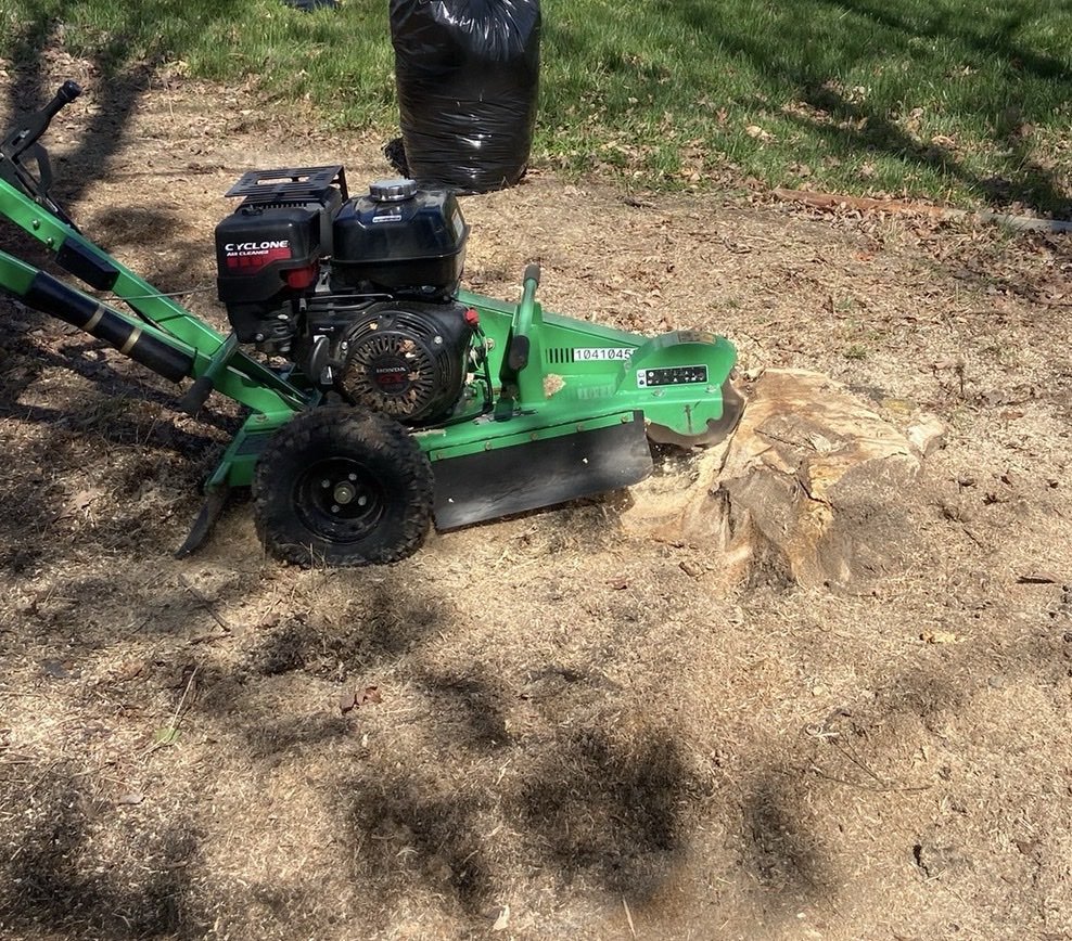 Nature’s Solutions Work