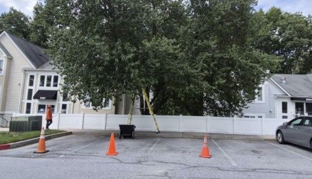Nature’s Solutions work